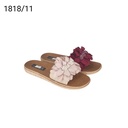 شبشب1818/11ملون شد36   F3